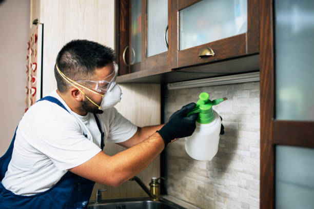 Best Bed Bug Extermination  in San Gabriel, CA