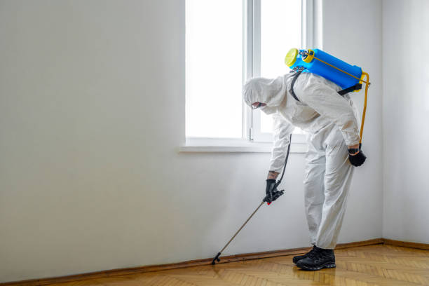 Best Mosquito Control Services  in San Gabriel, CA