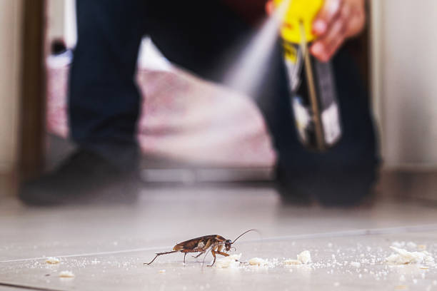 Best Pest Prevention Services  in San Gabriel, CA
