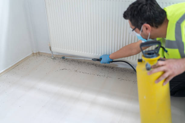 Best Local Pest Control Services  in San Gabriel, CA